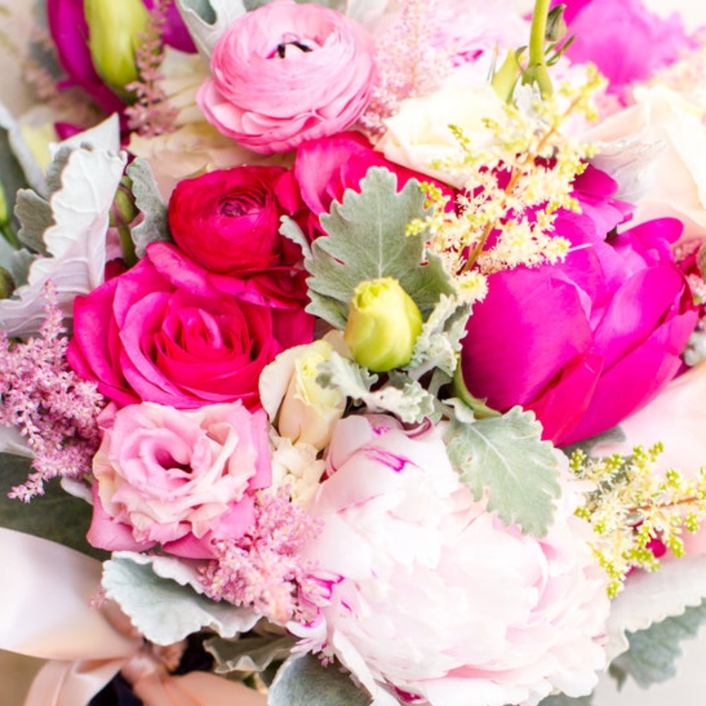 Meet your Posher, Charlotte